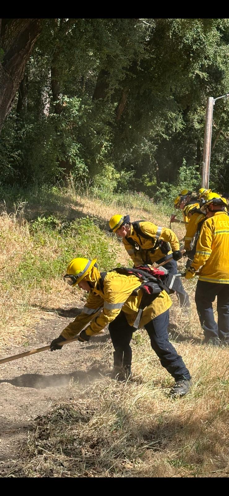 FFPD Wildland Training May 2026 Newsletter