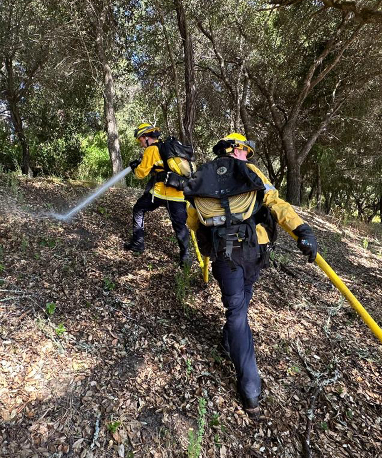 FFPD wildland hose training