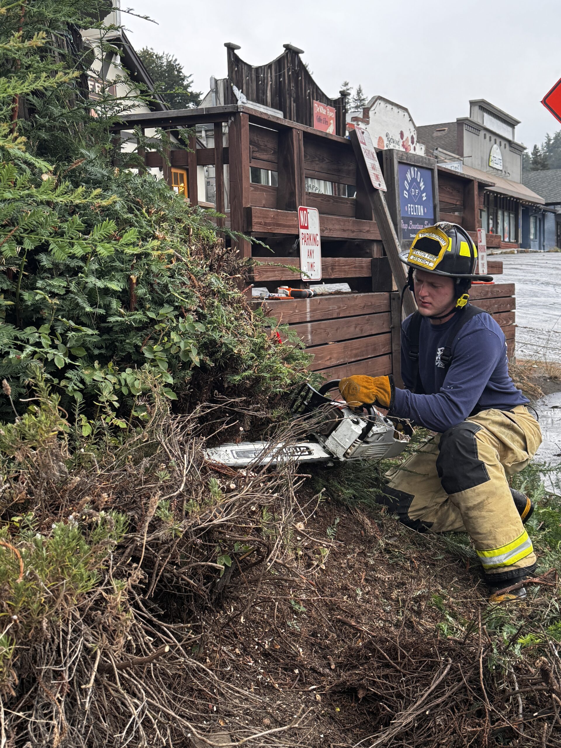Felton firefighters cutting back growth at the base of the redwood