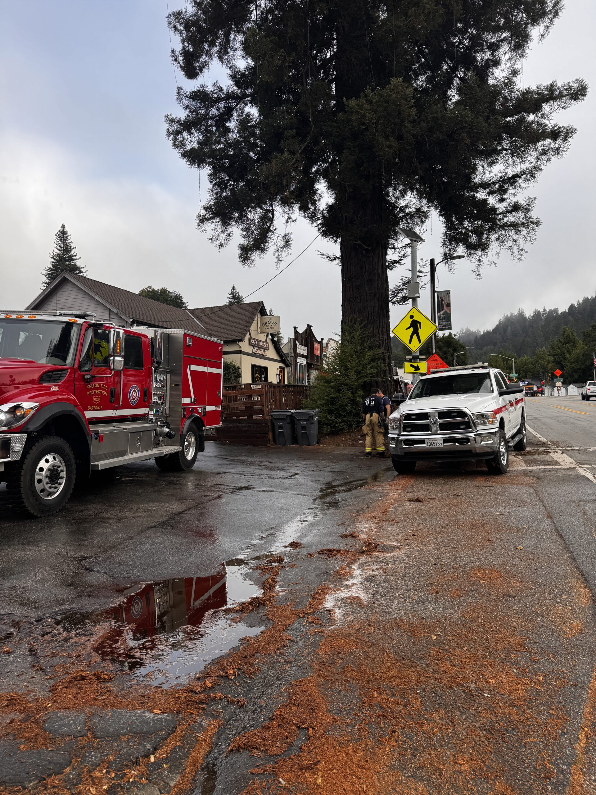 Engine 2336 and the district utility truck parked downtown by the redwood